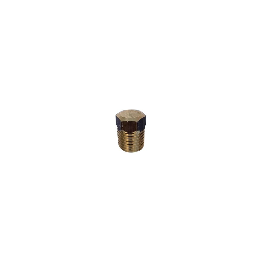 Bujão Fixação Ar com Rosca Rapanui (B)1/4" BS1 BS1